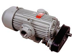 L95 - 320 Compressor / Pump